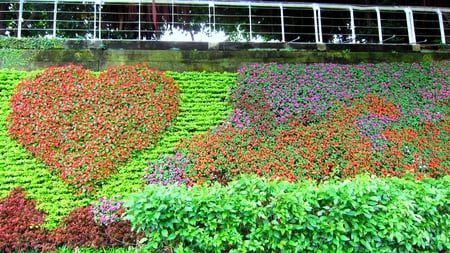 Wall displaying - wall displaying, fresh flowers, heart, railing