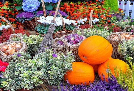 Nature's bounty. - broom, food, fence, flower, plant, bounty, basket, nature, vegetable