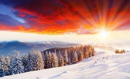 Sunshine - hd wallpaper, sun, hd, sky, sunrays, trees, nature, mountain, snow, sunshine