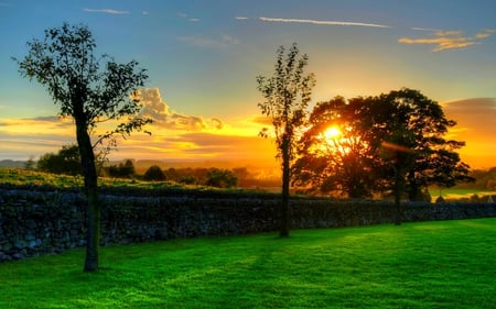 THE LAST SUNSET - trees, sunset, summer, field, fence