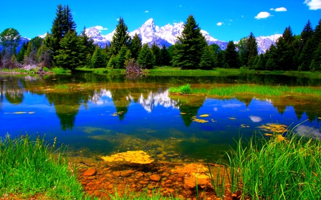 BEAUTIFUL LAKE - lake, national park, forest, landscape, mountains, grand teton