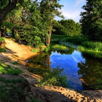 Tranquility of a small lake