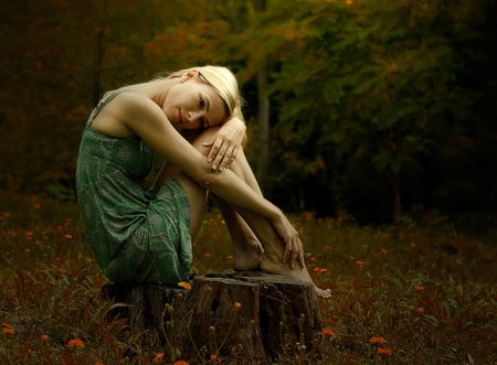 Sweet Memories - forest, memories, beautiful, sweet, girl, wood, sitting, feelings, lovely, field