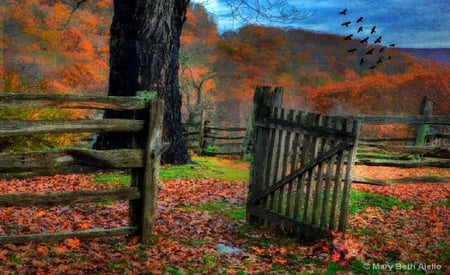 Autumn gate. - bird, gate, nature, autumn, leaf, fence, tree