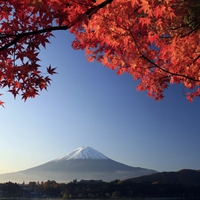 Autumn Fuji japan