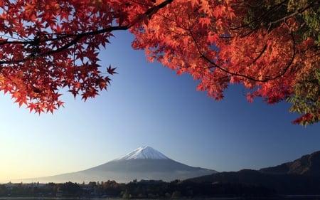 Autumn Fuji japan - mount fuji, wide screen, mountain, landscape, photography, fuji, autumn leaves, nature, japan, beautiful, scenery, photo