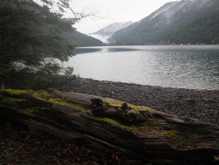 Lk Cresent - lk cresent, lakes in wa, port angeles, lake crescent, hidden treasures, olympic peninsua, lakes in washington