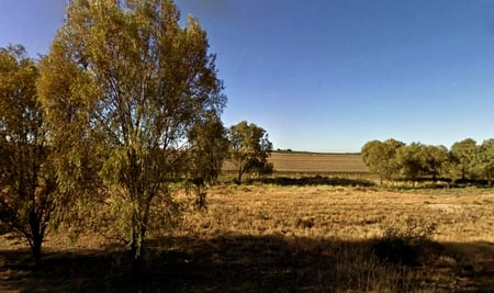 Australia - fields, sky, trees, australia, grass