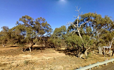 Australia - sky, trees, australia, field, grass