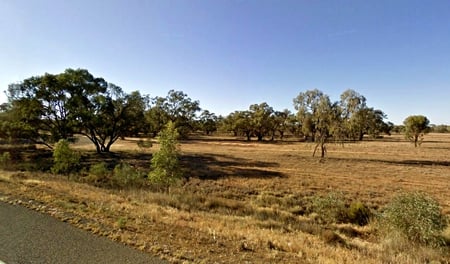 Australia - trees, grass, field, sky, australia