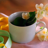 Cup for coffee and flowers