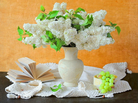 Still life - pretty, vase, grape, book, beautiful, lilacs, lovely, still life, nice