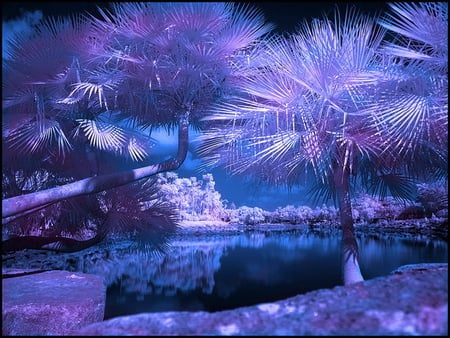 Purple-blue world - lake, worl, palms, water, mirrored, purple, reflection, blue, tree