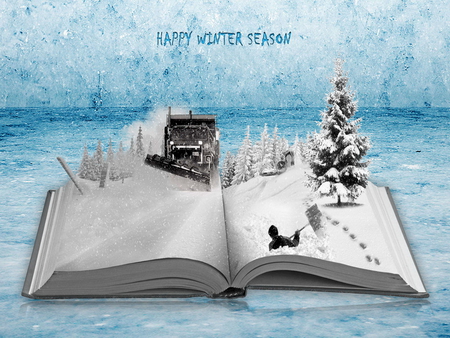 Winter book - pages, nice, interesting, trees, blue, winter, funny, book