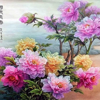 Chinese peony.