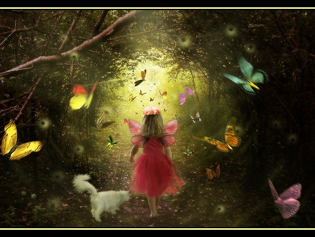 FOLLOW ME - female, wings, butterflies, forest, child, cat, follow