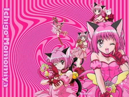 Ichigo Momomiya - ichigo momomiya, anime, tokyo mew mew, strawberry bell, circle, pink, other, kitty