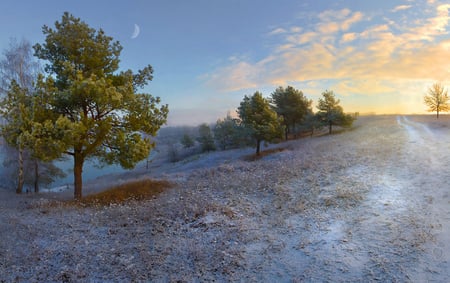 The Last Snow - morning, landscape, beautiful, moon, tree, crescent, snow