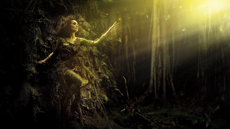 Fairy wood - Waldfee - love, elf, girl, magic, colorful, fantasy, wood, fairytale, beautiful, wish, waldfee, fairy, tree