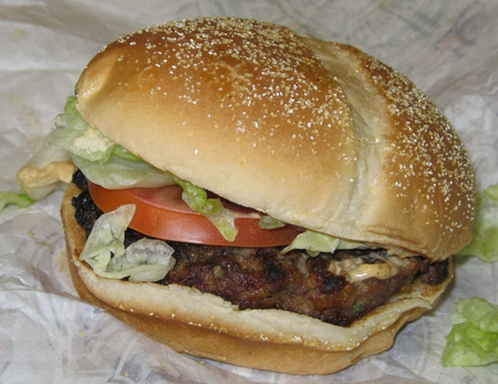 BURGER - fast, chicken, amazing, food, meal, nice, cool, cheese