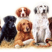 hunting dogs