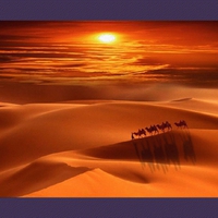 Desert*s Sunset