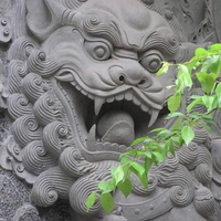 Lingyin Lion Dragon