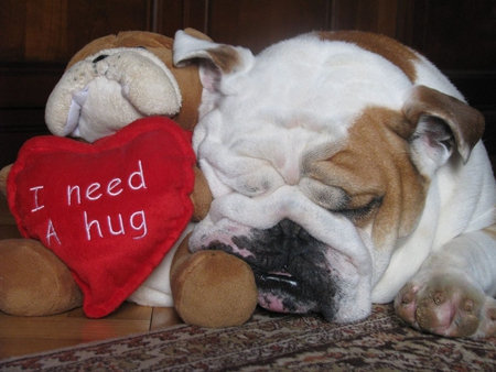 I need a hug...