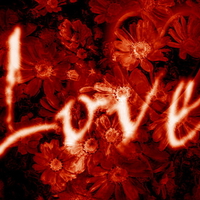 Great love