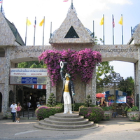 Crocodile Farm in Thailand