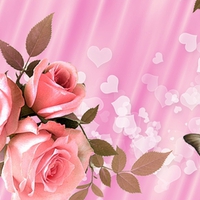 Pink Roses for Valentine