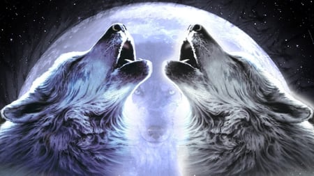 RULERS OF THE NIGHT - moon, wolves, stars, sky, animals, night