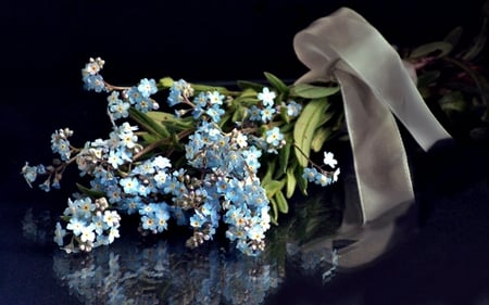 Forget Me Not