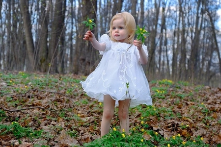 Flowers From An Angel - flowers, girl, forest, angel