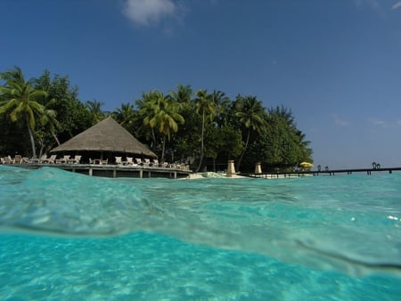 Tropical Resort - hut, water, ocean, palm trees