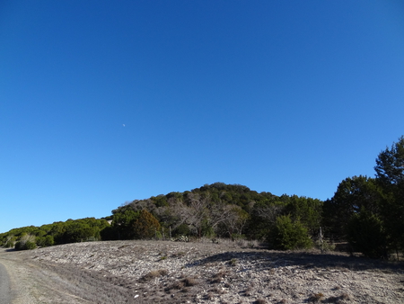 Broccoli Hill - sky, hill, road, desert, trees