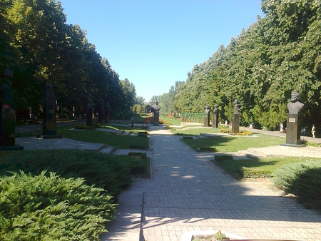 In  a park  in Romania - nature, park, trees, photography