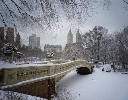 Central Park - central park, winter, nature, new york, bridge