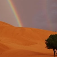 Rainbow over the Dunes in Taghit