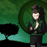 Shikamaru Nara, Konoha Genius!