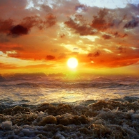 Into the Sea
