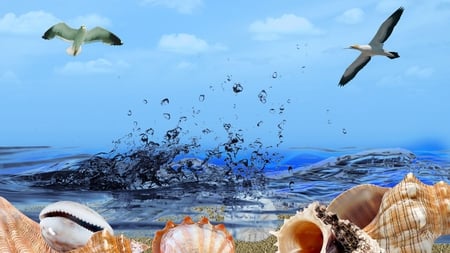 By the Sea - water, beach, ocean, sand, sky birds, clouds, splash, sea, waves, seashells, sea shells