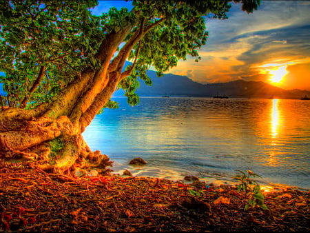 Sunset over the lake - clouds, lonely, over, reflection, mountain, tree, river, sunset, lake, sun, sky