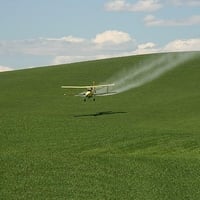 Crop Dusting