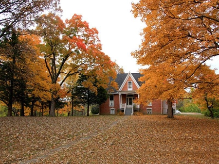 Autumn Time at Home - leaves, house, trees, autumn