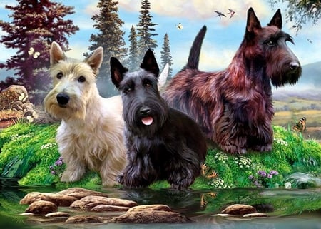 By Howard Robinson - painting, howard robinson, art, puppy, schnauzer, dog, animal