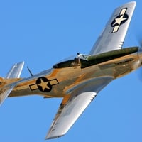 P51 Mustang