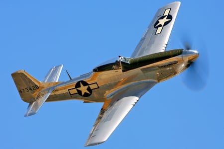 P51 Mustang