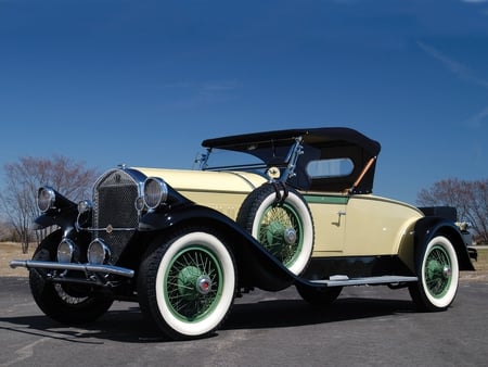 '28 Pierce Arrow Model 81 - pierce, elegance, rumbleseat, 1928, 28, antique, model, class, 81, car, roadster, vintage, convertible, classic, arrow