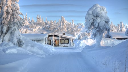 White Blanket - white, blanket, winter, beautiful, house, trees, snow